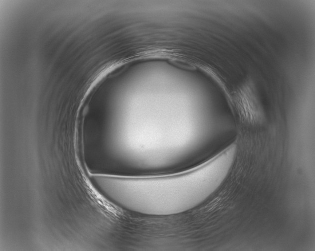 X0000051251147200506170835