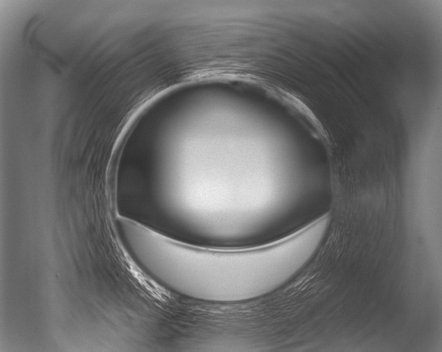 X0000051251148200506170835