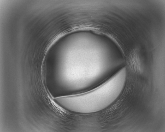 X0000051251151200506170835
