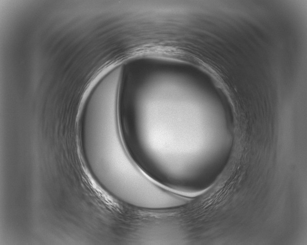 X0000051251152200506170835