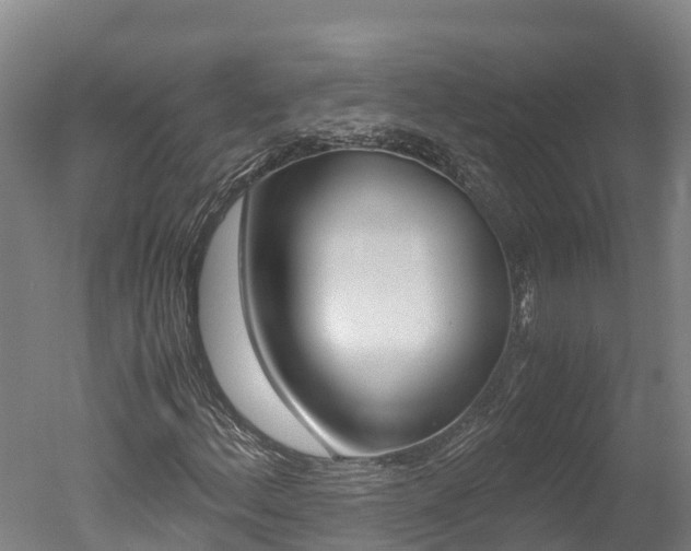 X0000051251156200506170834