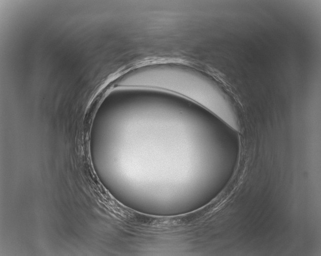 X0000051251165200506170834