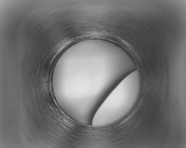 X0000051251170200506170834