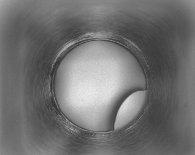 X0000051251174200506170834