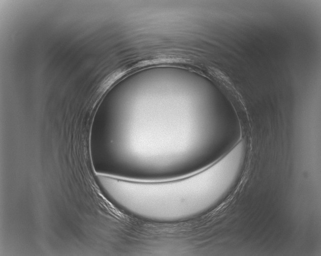 X0000051251177200506170834