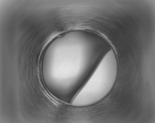 X0000051251187200506170834