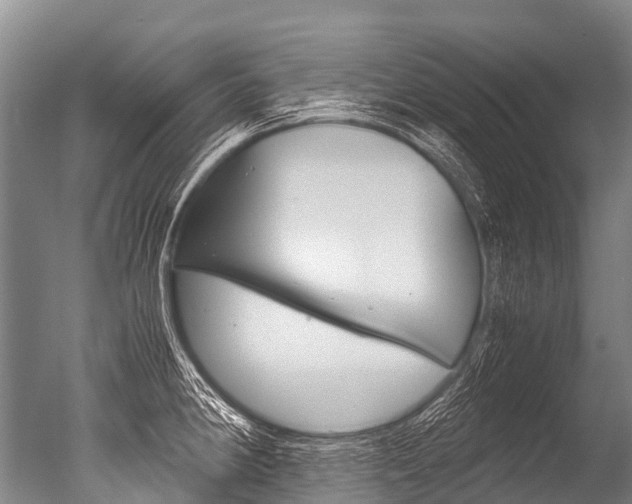 X0000051251190200506170834