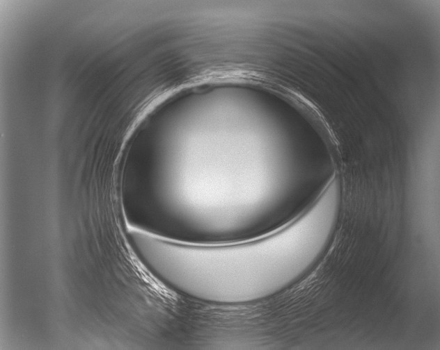 X0000051251192200506170834