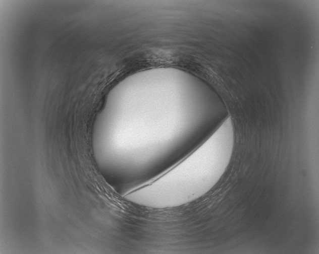 X0000051251201200506170833