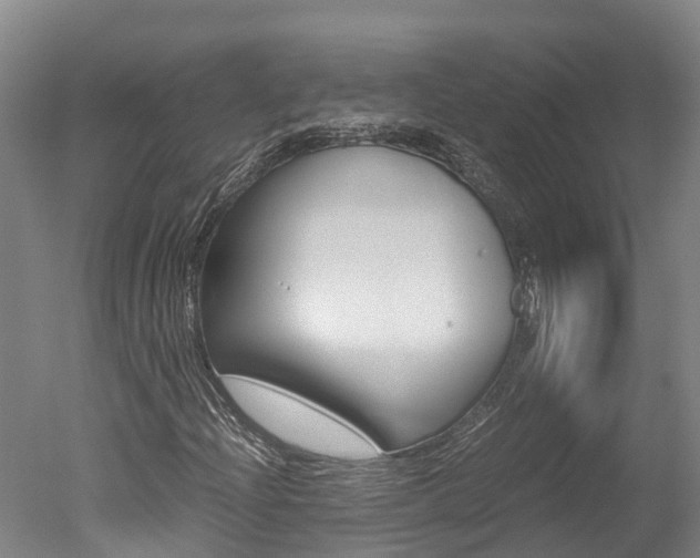 X0000051251204200506170833