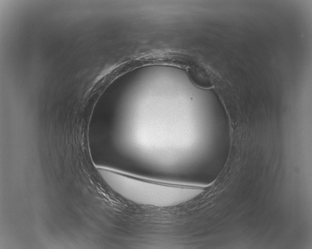 X0000051251206200506170833