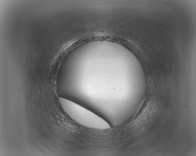 X0000051251207200506170833