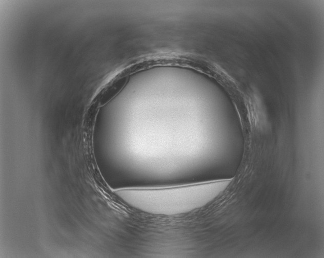 X0000051251208200506170833