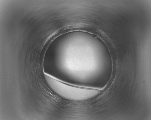 X0000051251210200506170833