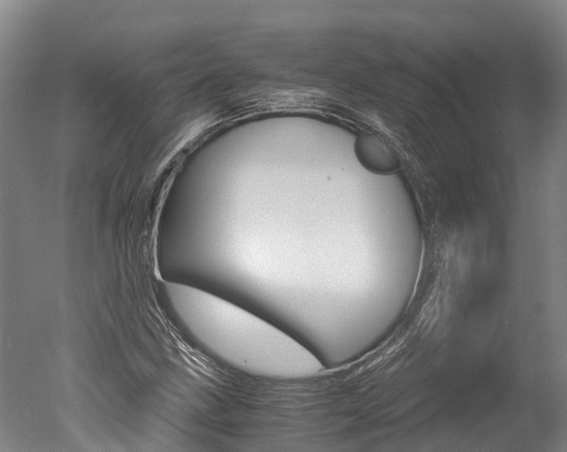 X0000051251211200506170833