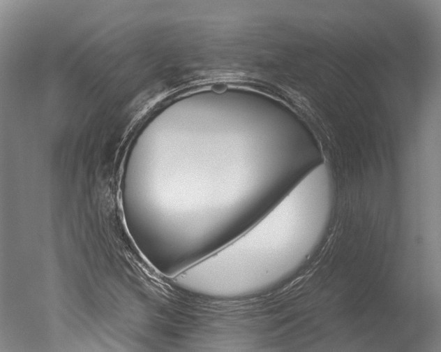X0000051251212200506170833