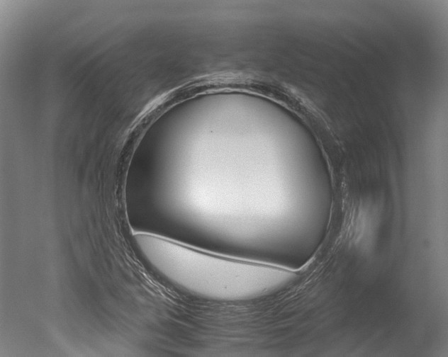 X0000051251213200506170833