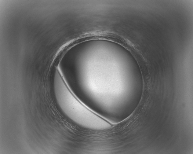 X0000051251214200506170833