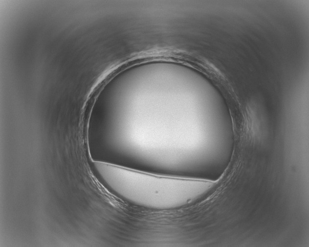 X0000051251216200506170833