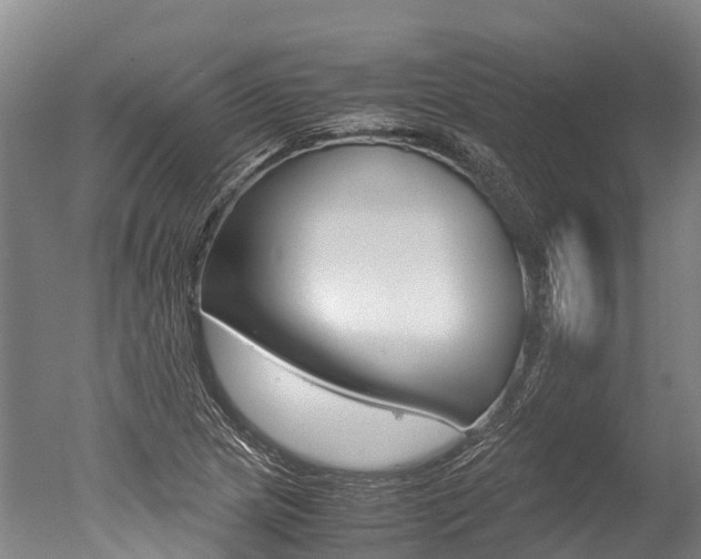 X0000051251217200506170833