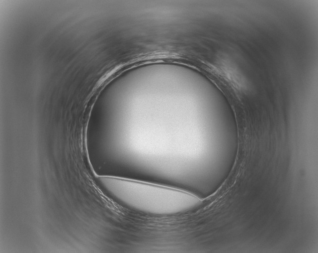 X0000051251220200506170833