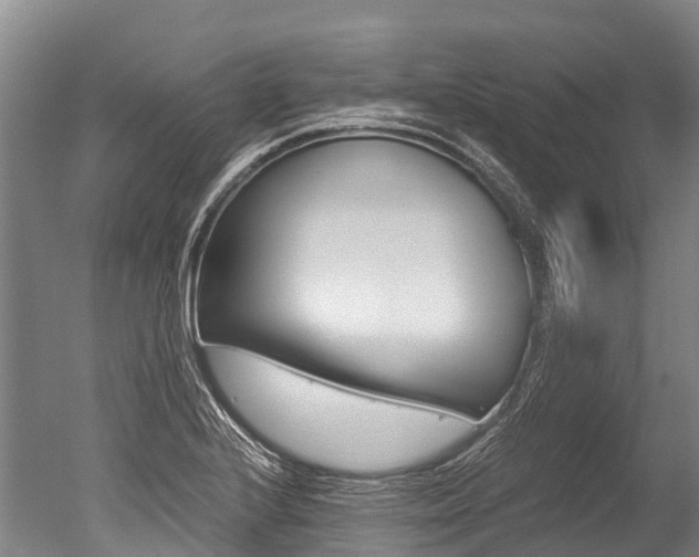 X0000051251224200506170833