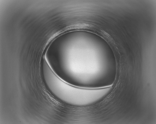X0000051251226200506170833