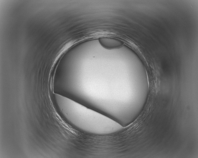 X0000051251227200506170833