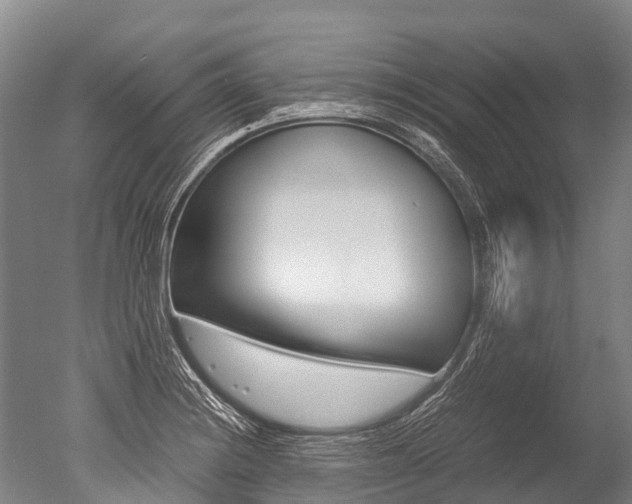 X0000051251228200506170833