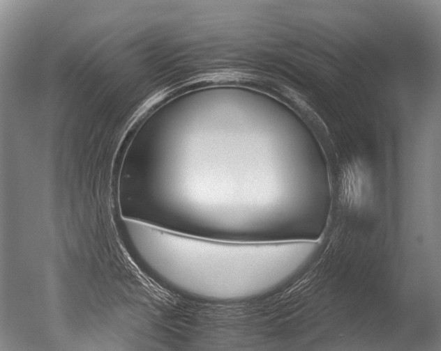X0000051251229200506170833