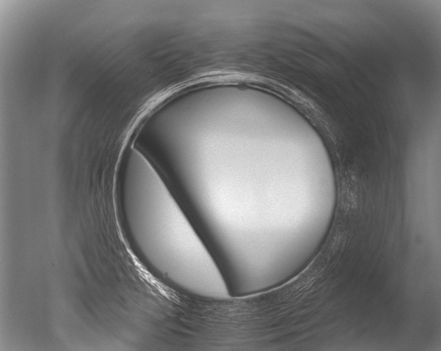 X0000051251231200506170833