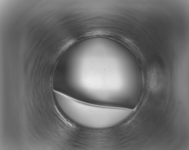 X0000051251233200506170833