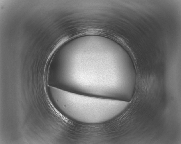 X0000051251235200506170833