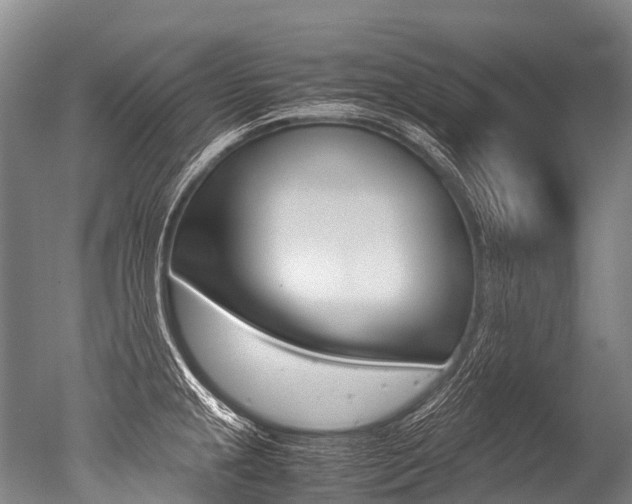 X0000051251237200506170833