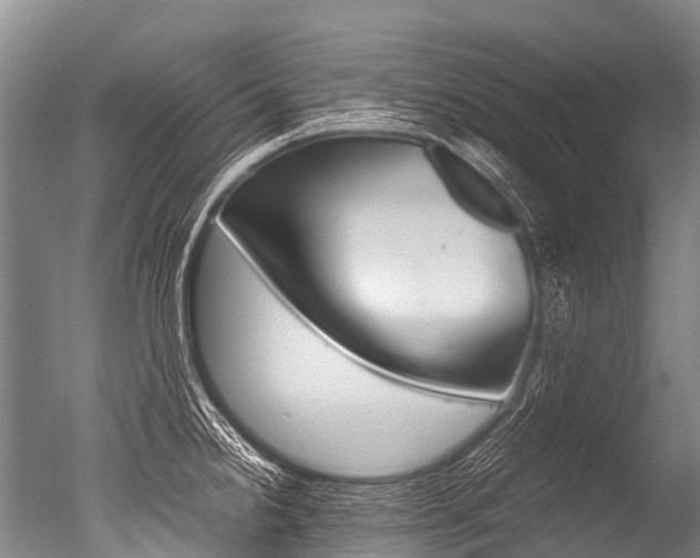 X0000051251238200506170833