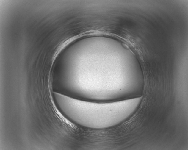 X0000051251239200506170833