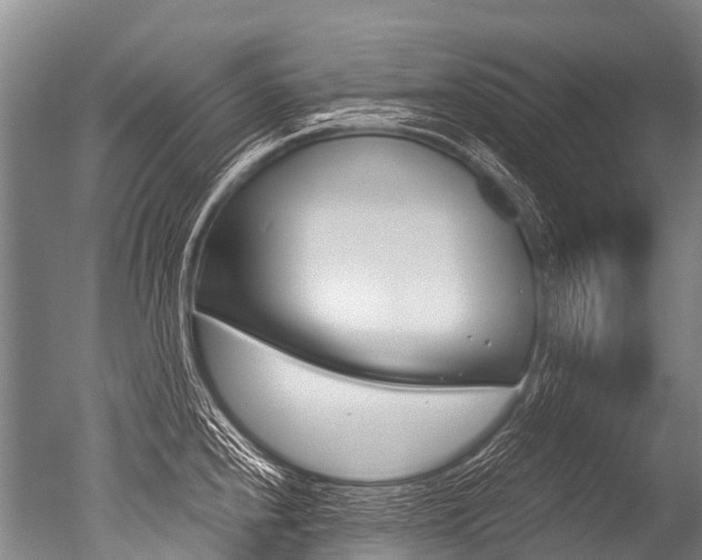 X0000051251240200506170833