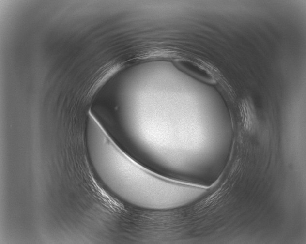 X0000051251241200506170833