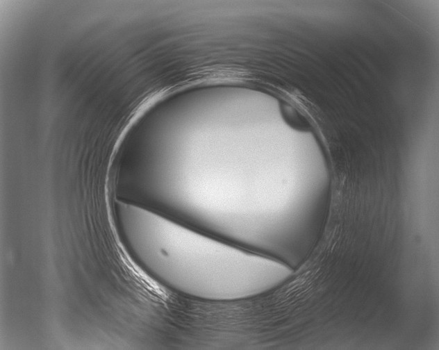 X0000051251243200506170833
