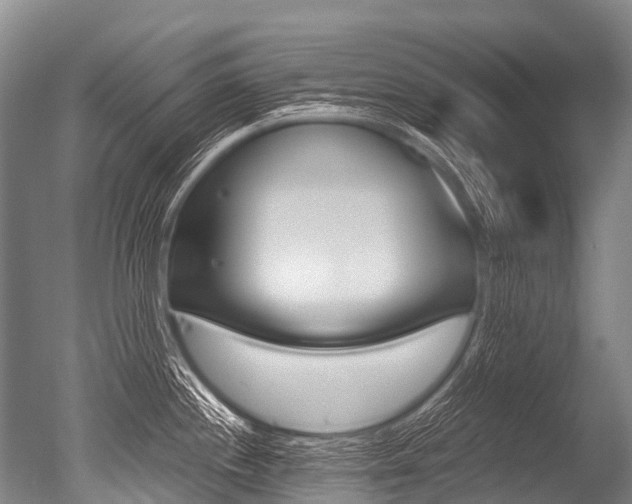 X0000051251244200506170833