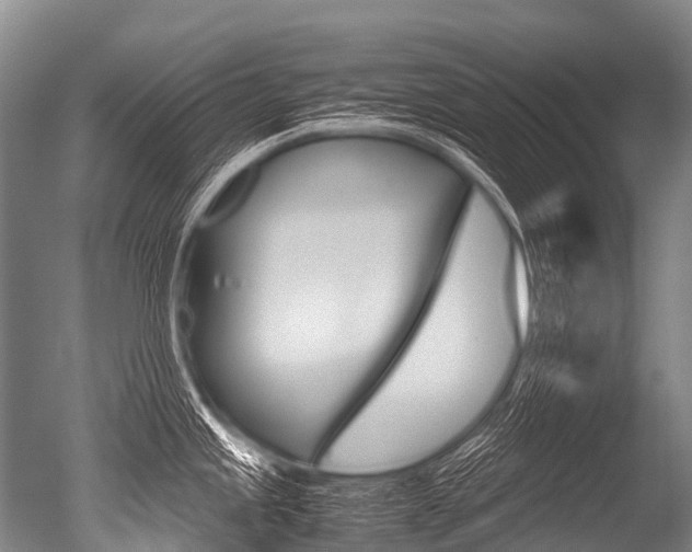 X0000051251245200506170833