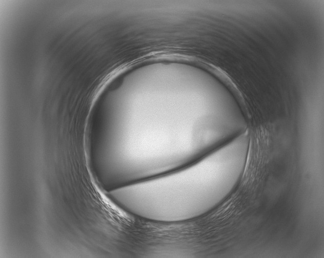 X0000051251247200506170833