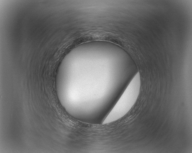 X0000051251249200506170833