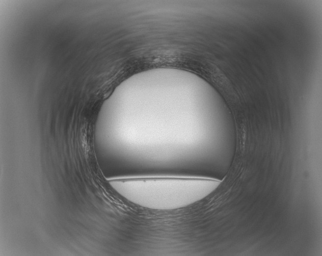 X0000051251250200506170833