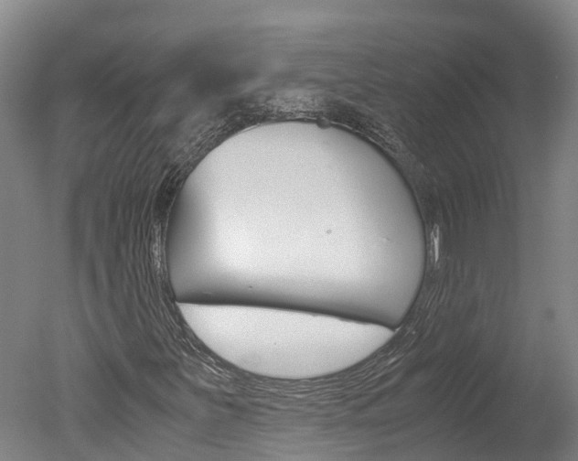 X0000051251251200506170833