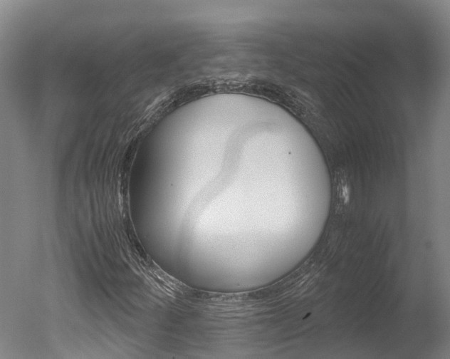 X0000051251252200506170833