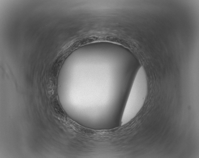 X0000051251253200506170833
