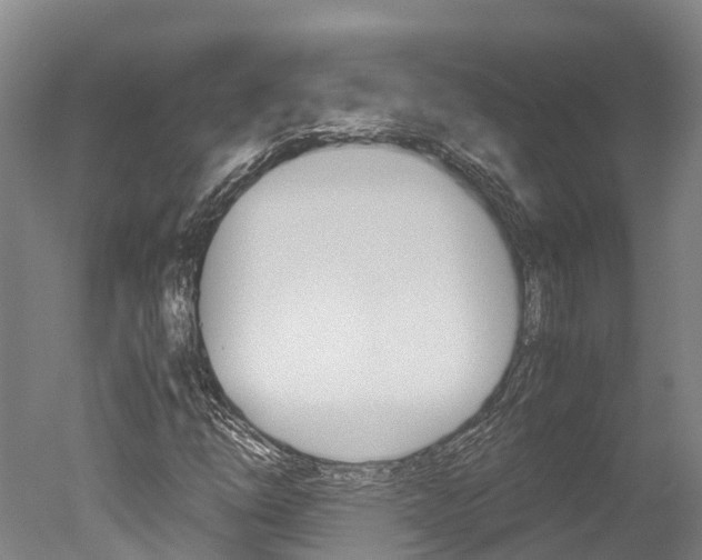 X0000051251254200506170833