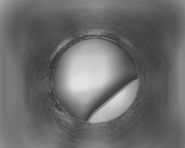 X0000051251256200506170833
