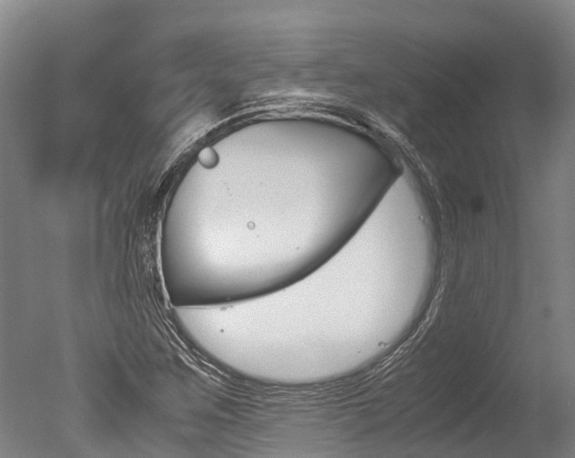 X0000051251259200506170832